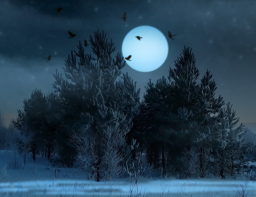 Фото жизнь (light) - Матвей БЕЛЫЙ - ПОЭЗИЯ ВРЕМЁН - Сегодня будет Новый год...или какие странные они, ночные птицы