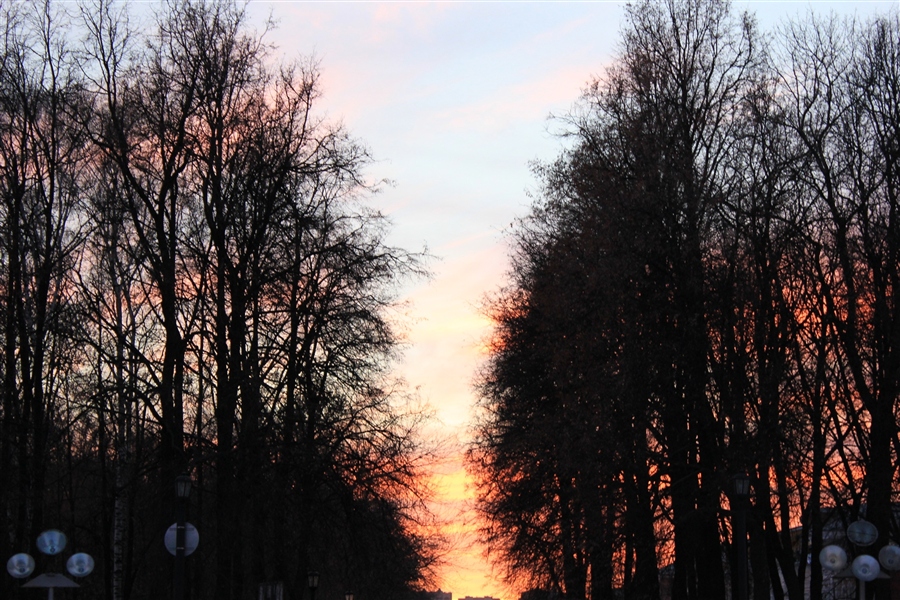 Фото жизнь
