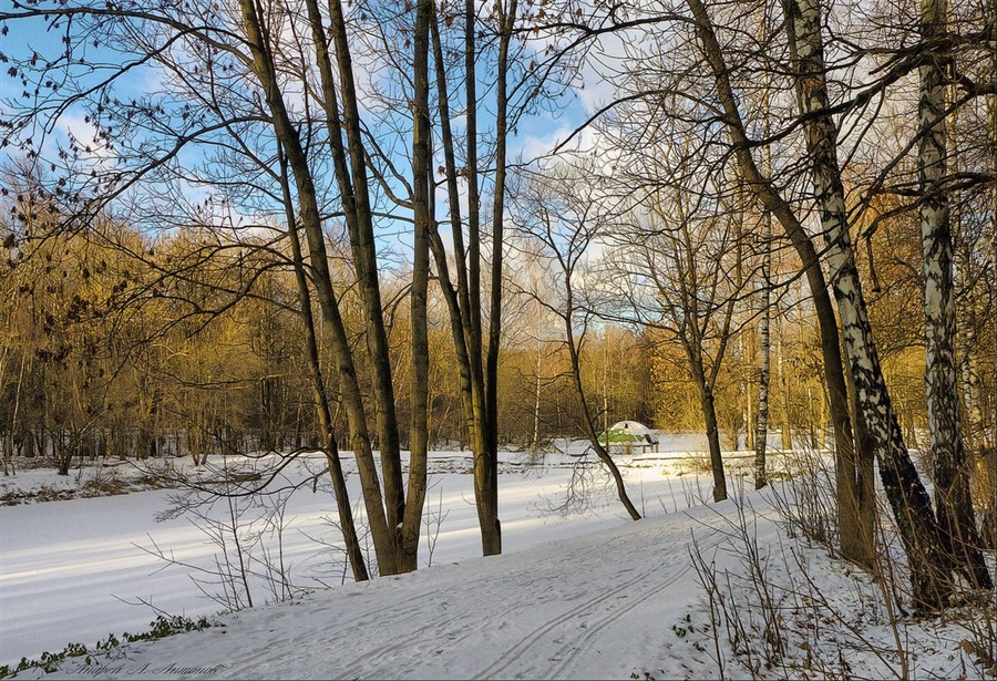 Фото жизнь