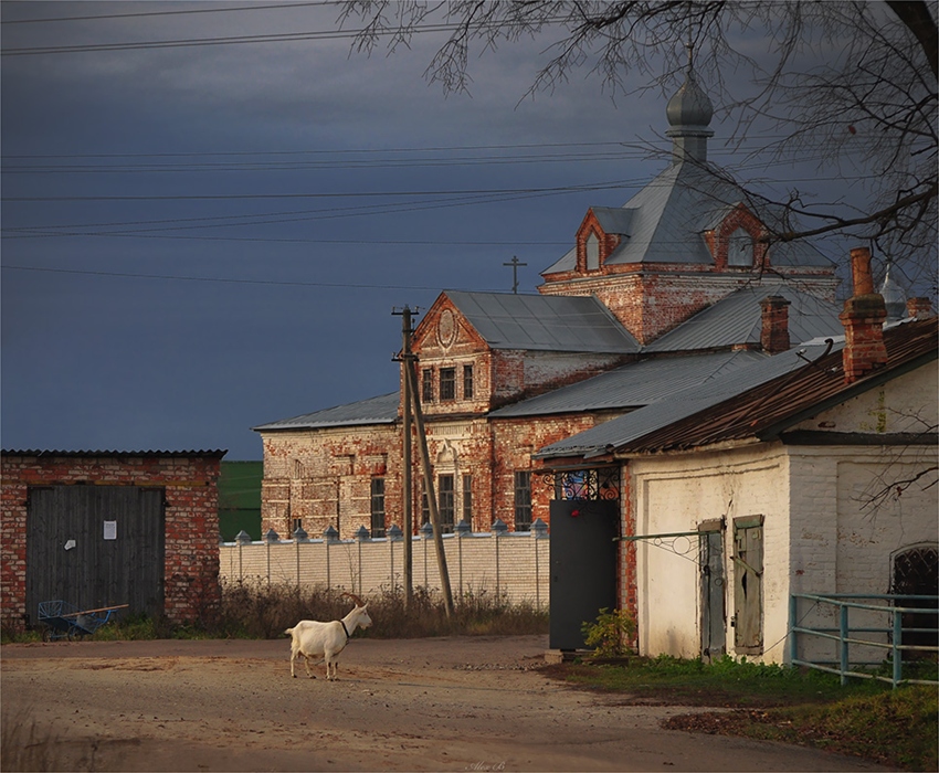 Фото жизнь