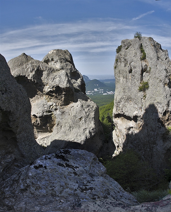 Фото жизнь