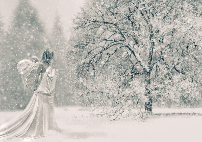 Фото жизнь (light) - Денис Богомолов - Computer Art - снежный ангел