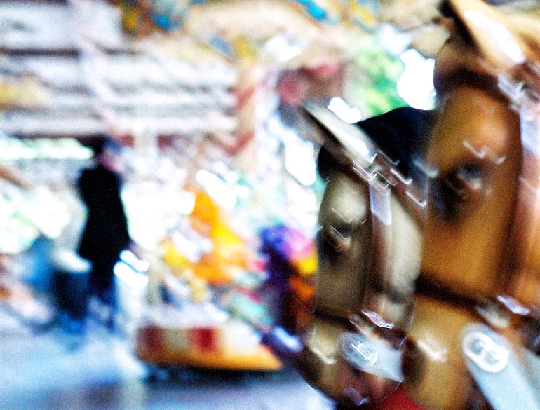 Фото жизнь