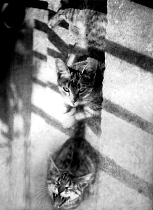 please, mama, let me go!