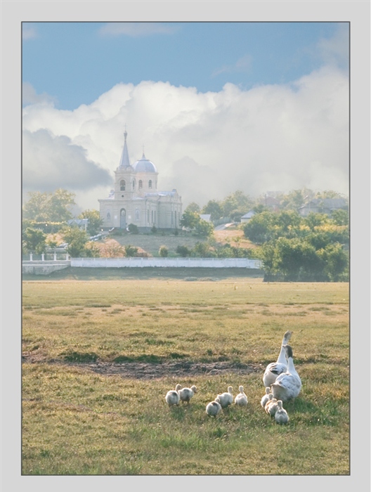 Фото жизнь