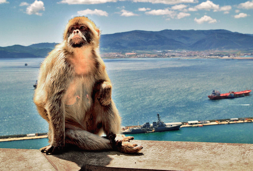 Фото жизнь (light) - Michael Lisman - корневой каталог - На боевом посту.