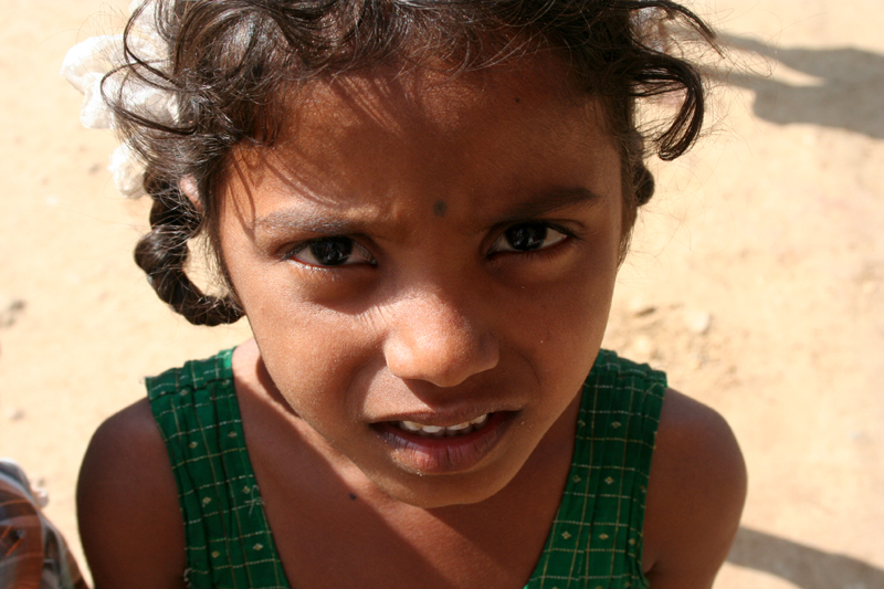 Фото жизнь (light) - nadialis - корневой каталог - ***