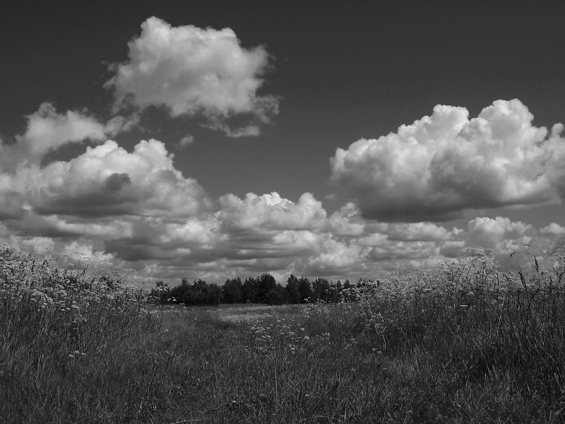 Фото жизнь - Наталья Романова - пейзажи - прогулки под облаками