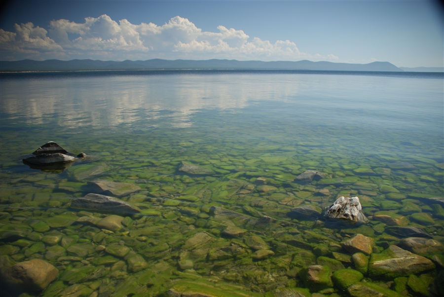 Фото жизнь