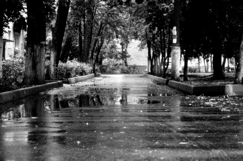 Фото жизнь (light) - ramila - корневой каталог - После...