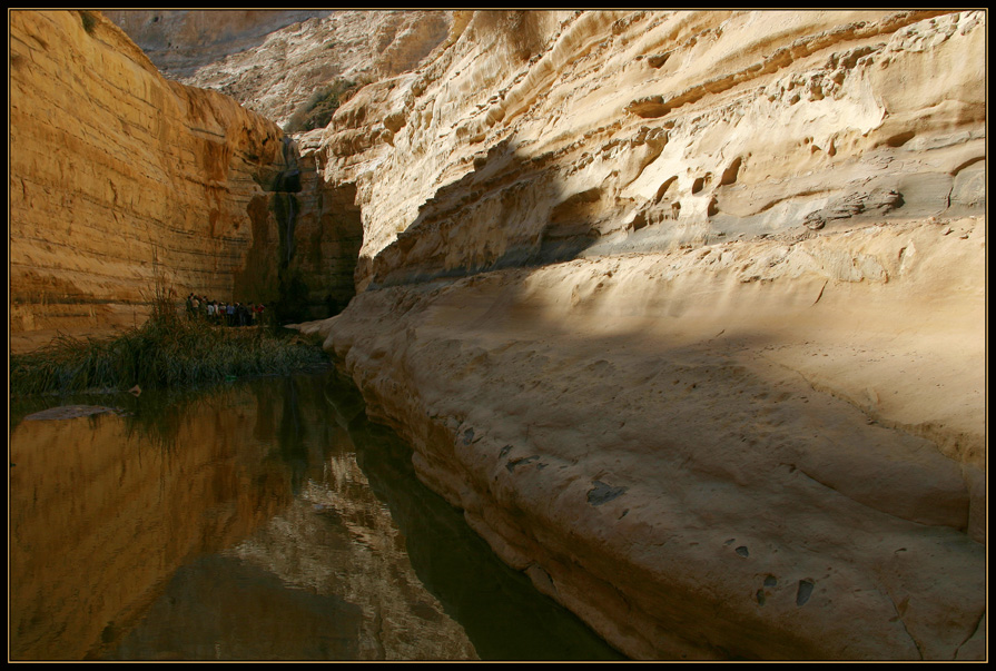 Фото жизнь (light) - David Solodar - ISRAEL - Каньон Эйн Авдат, Пустыня Негев