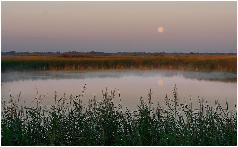 Фото жизнь (light) - Aushra - тихая жизнь (натюрморт) - когда луна глядит на меня как совесть...