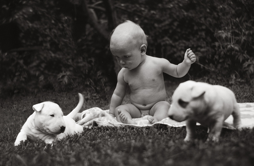 Фото жизнь (light) - Андрей Шеремет - Собаки - Встань, когда с тобой говорит Человек!