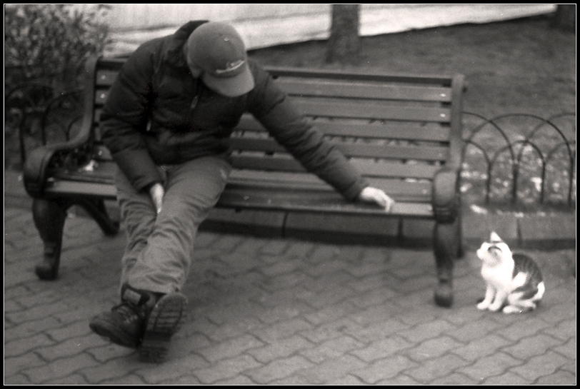 Фото жизнь - Андрей Шеремет - Коты - Два одиночества...