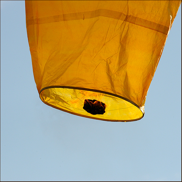 Фото жизнь (light) - Андрей Шеремет - Разное - Монгольфьер