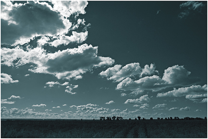 Фото жизнь (light) - Aushra - тихая жизнь (натюрморт) - облака плывут, облака