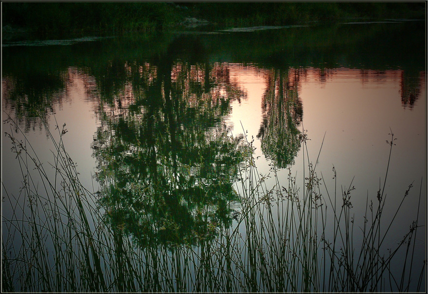 Фото жизнь (light) - Marishka - корневой каталог - Вечер на озере