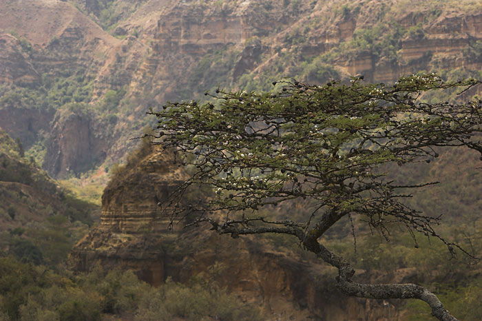 Фото жизнь (light) - wito - landscapes - Африка...
