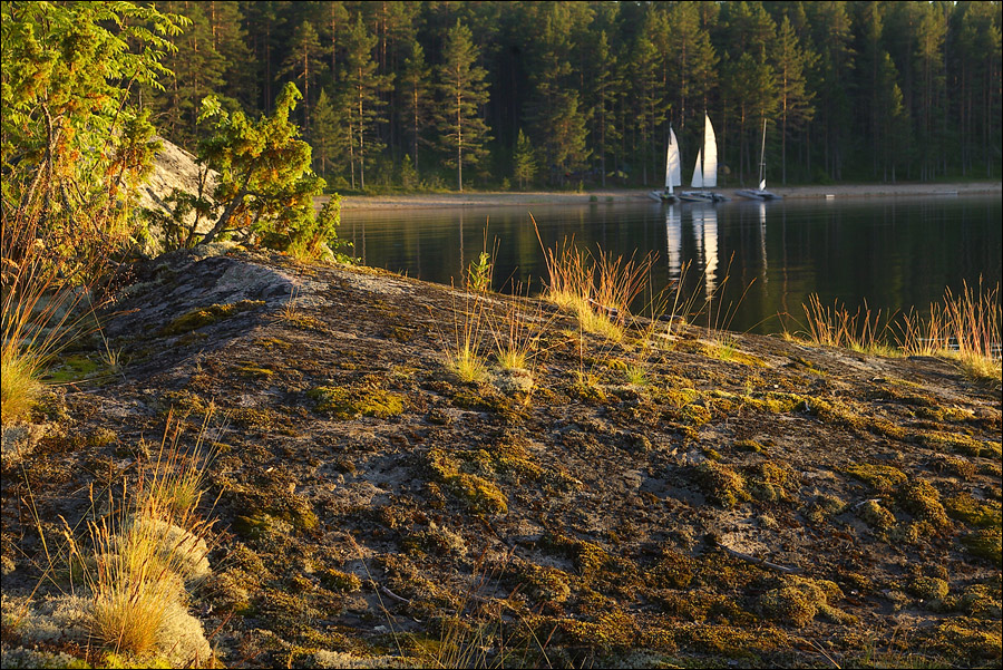Фото жизнь (light) - natabos - Мои любимые фотографии - Отпускная романтика