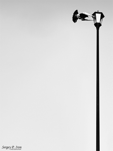 Фото жизнь (light) - Sergey P. Iron - Альтернатива - Про любовь...