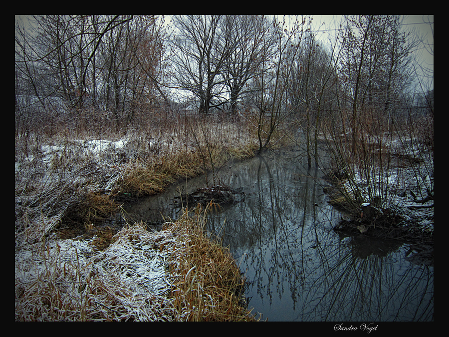 Фото жизнь (light) - dark-angel - Landscapes ,Nature - January Depression