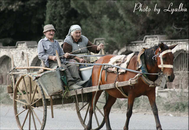 Фото жизнь (light) - Lyalka - корневой каталог - Together