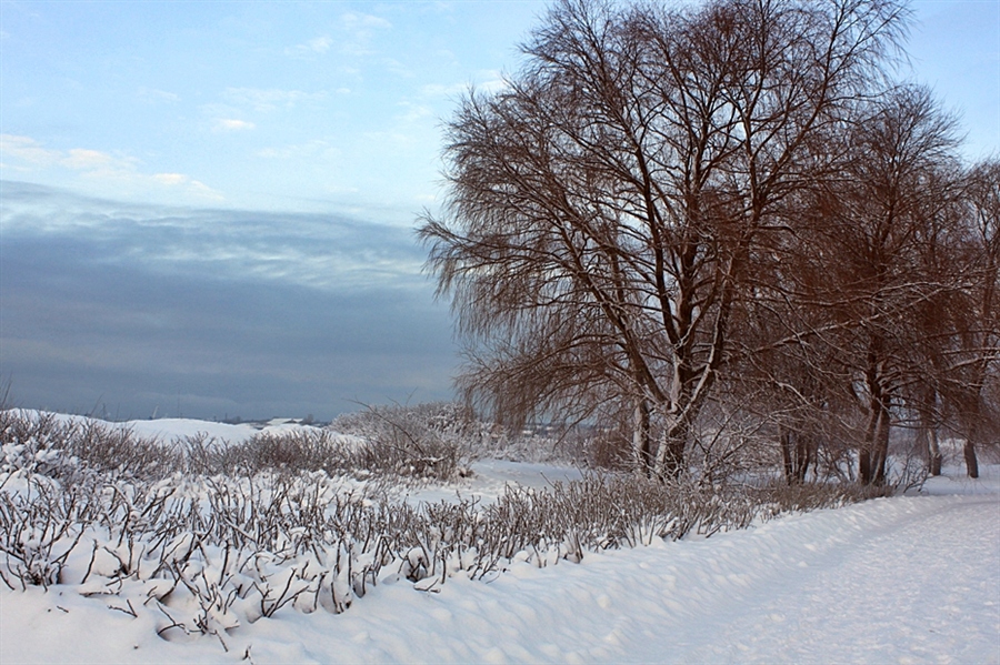 Фото жизнь