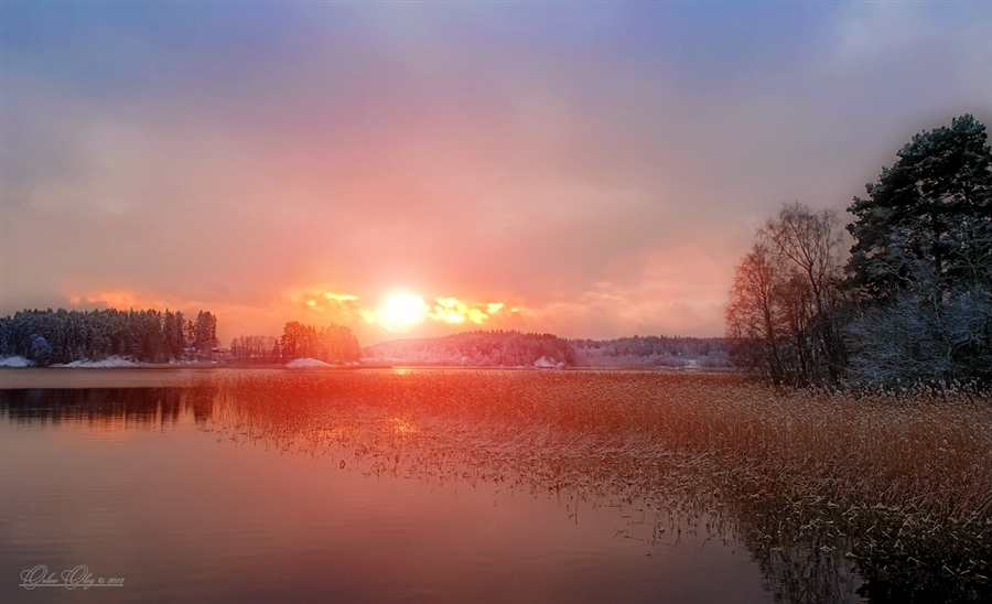 Фото жизнь