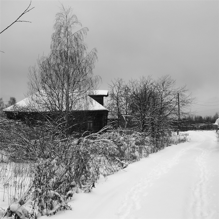 Фото жизнь