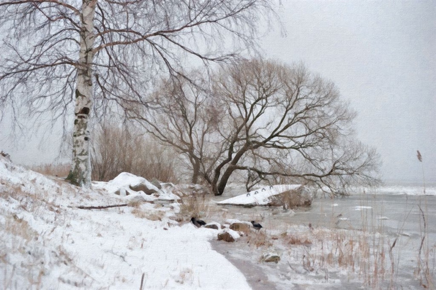 Фото жизнь