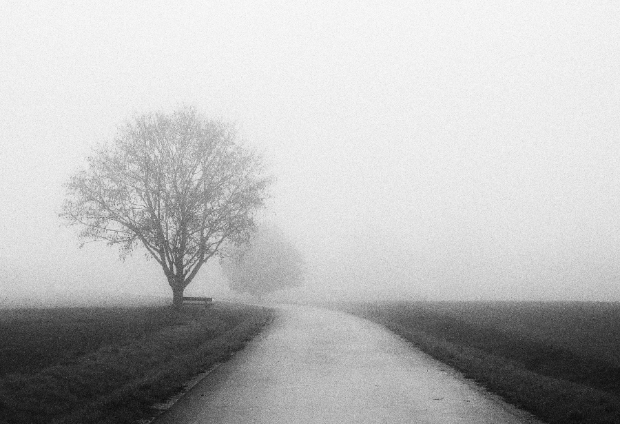 Фото жизнь (light) - mystera - Faszination Nebel. - "Der Weg ist das Ziel. II"