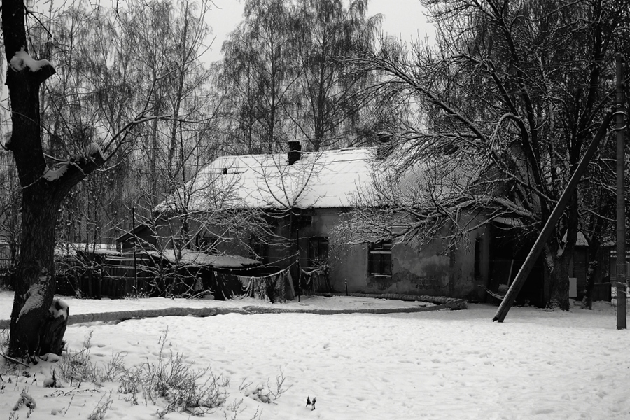 Фото жизнь