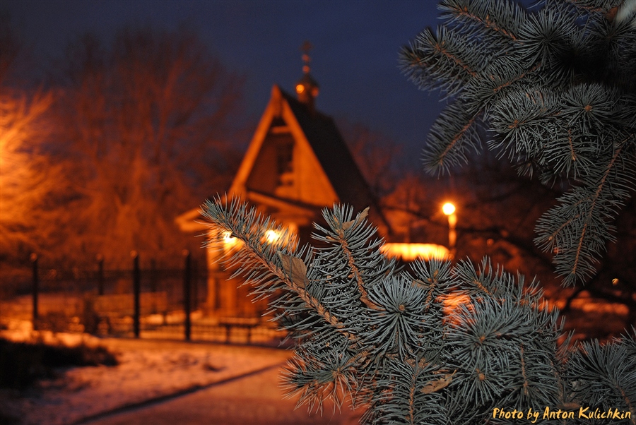 Фото жизнь