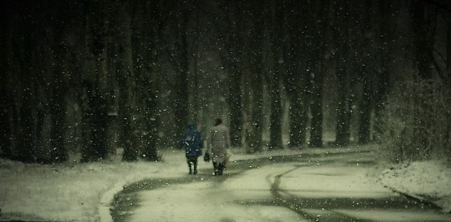 Фото жизнь (light) - Сергей Закиров  - корневой каталог - снежные будни