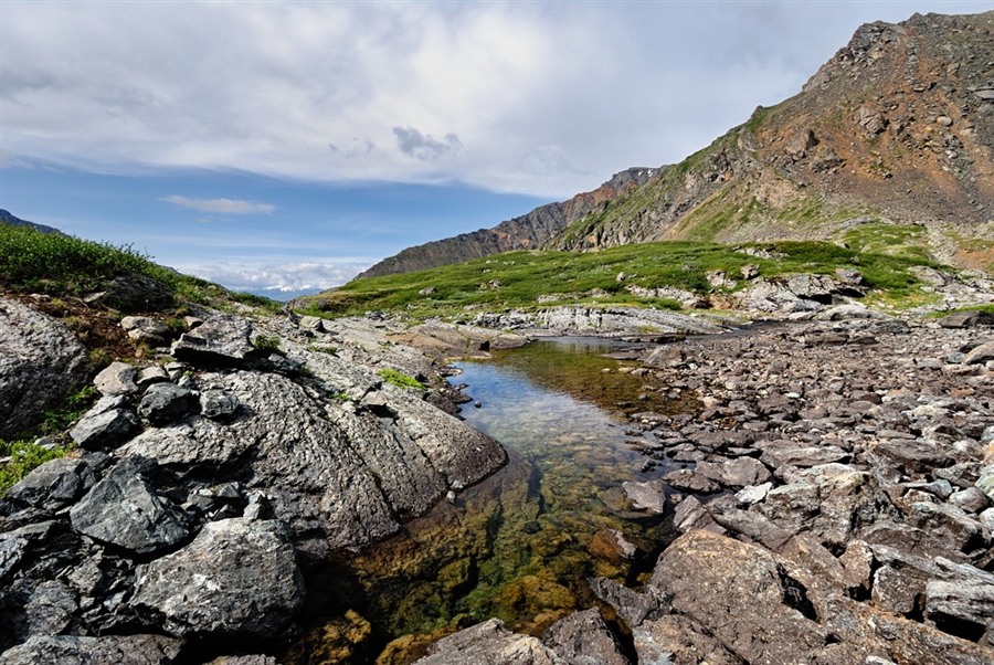 Фото жизнь