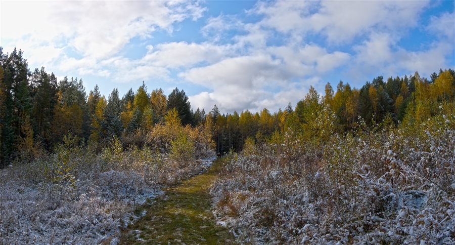 Фото жизнь