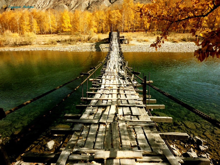 Фото жизнь