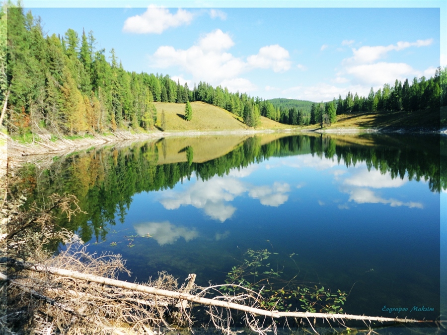 Фото жизнь
