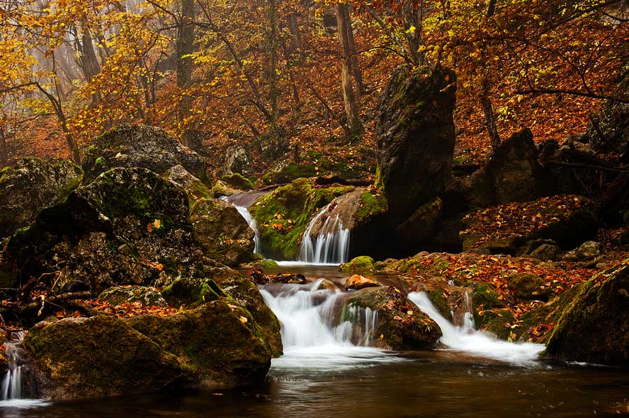 Фото жизнь (light) - foalex - Пейзаж,природа - Осень в Крыму