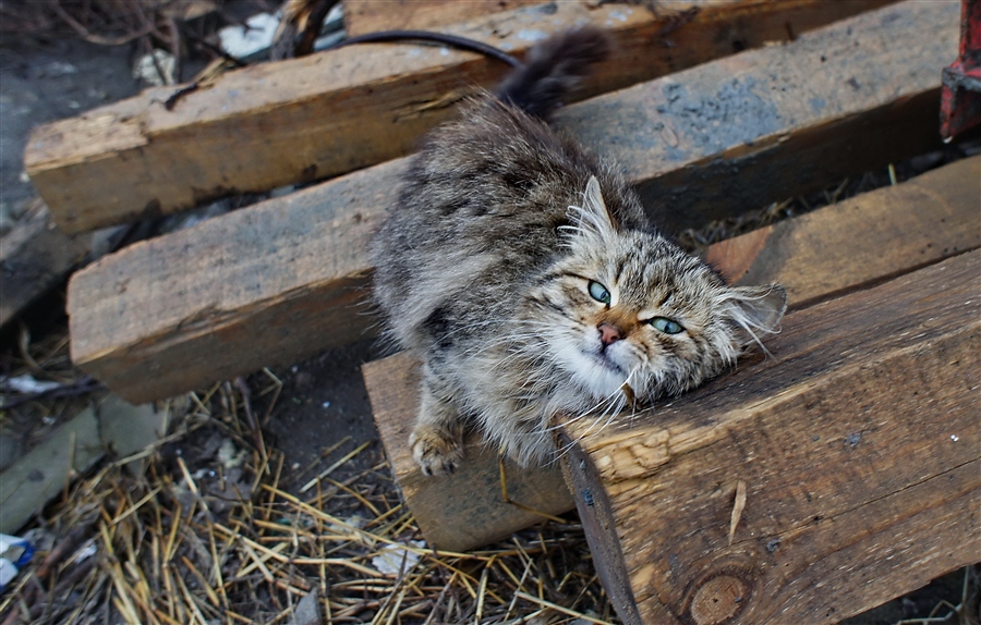 Фото жизнь