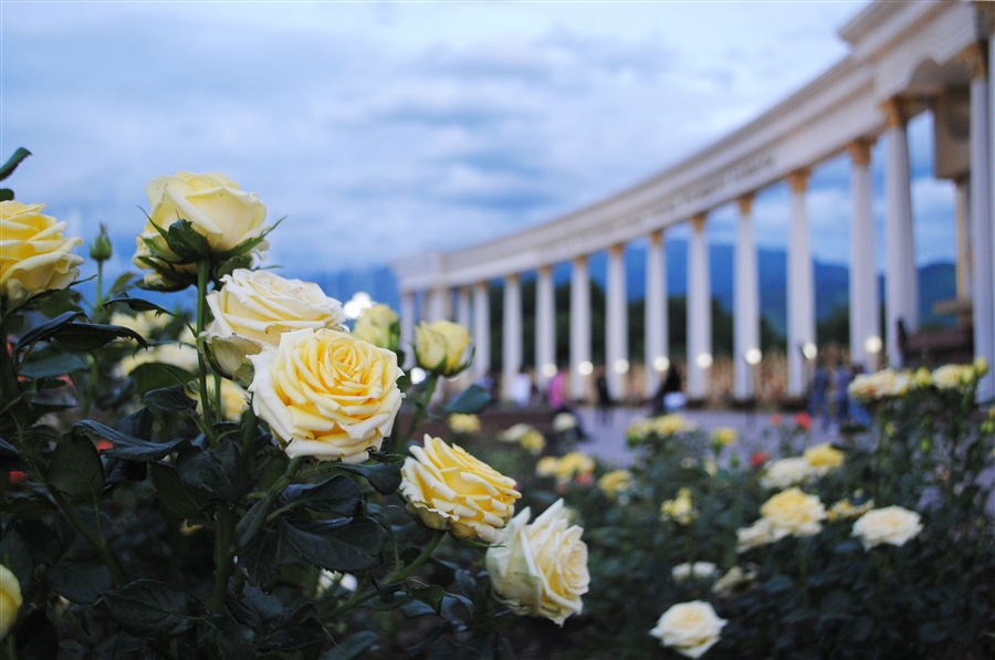 Фото жизнь