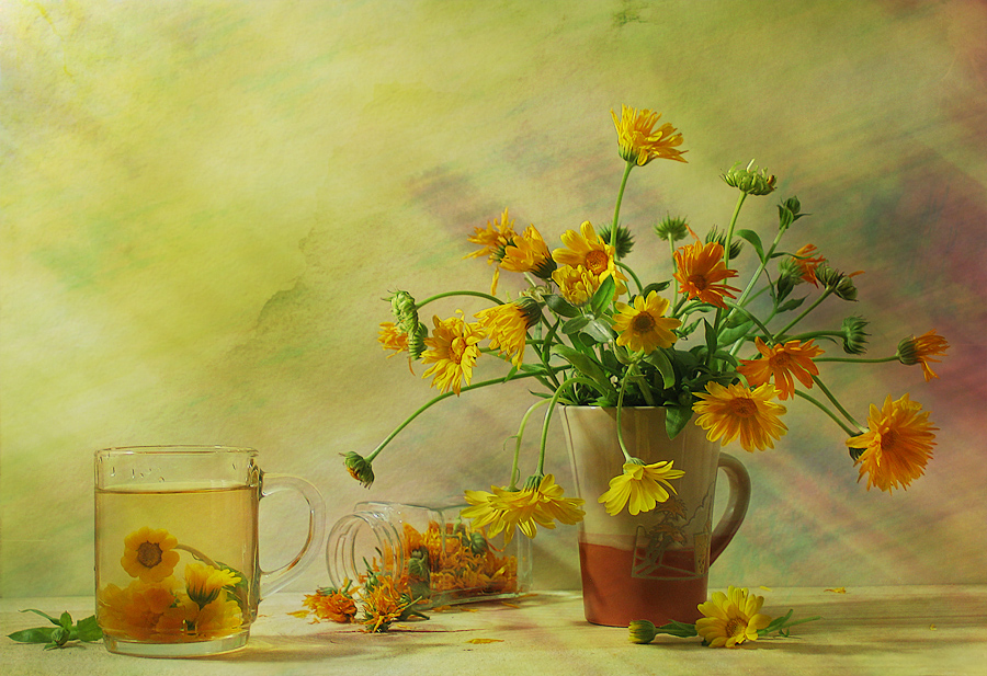 Фото жизнь (light) - Елена Завитаева - Натюрморты с цветами - Чай с календулой