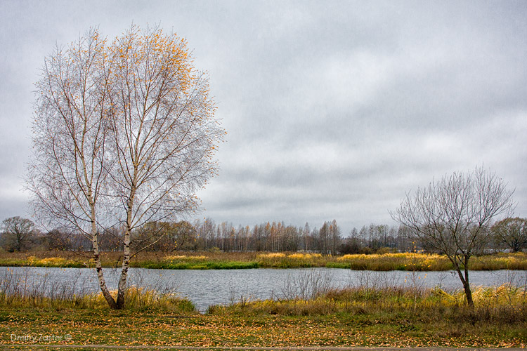 Фото жизнь (light) - Дмитрий Застер - корневой каталог - Золотые дни