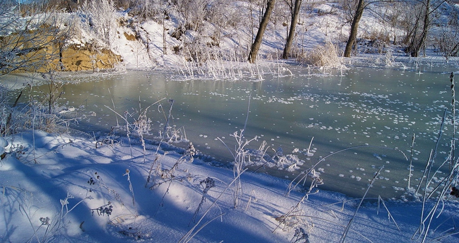 Фото жизнь