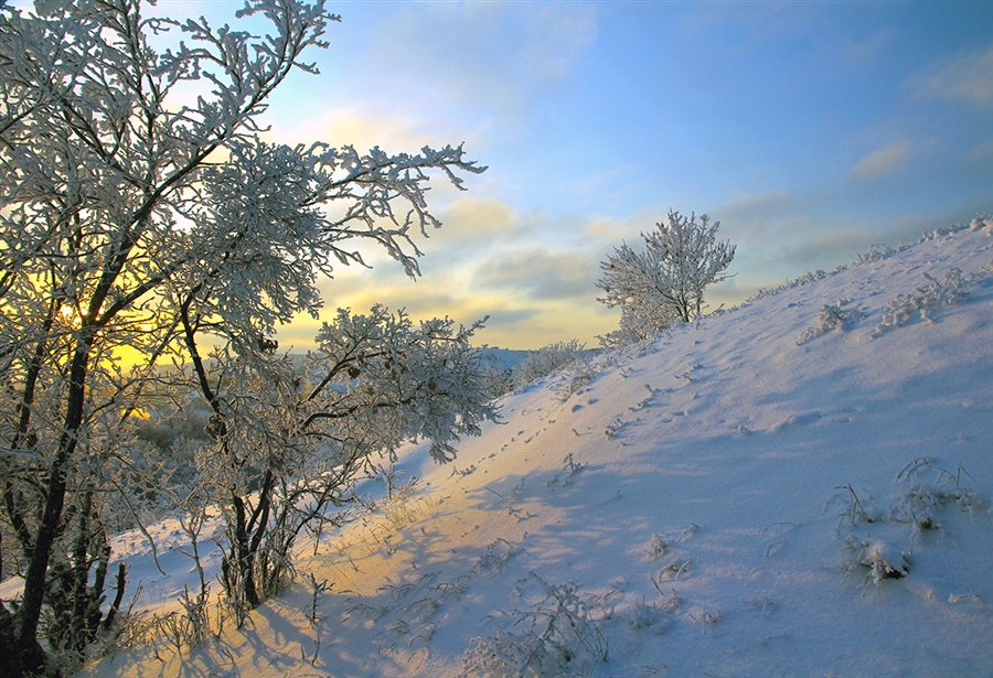 Фото жизнь