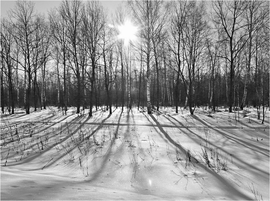 Фото жизнь
