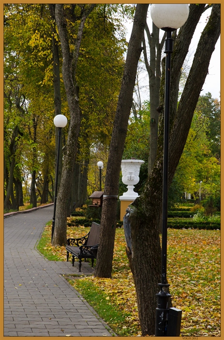Фото жизнь