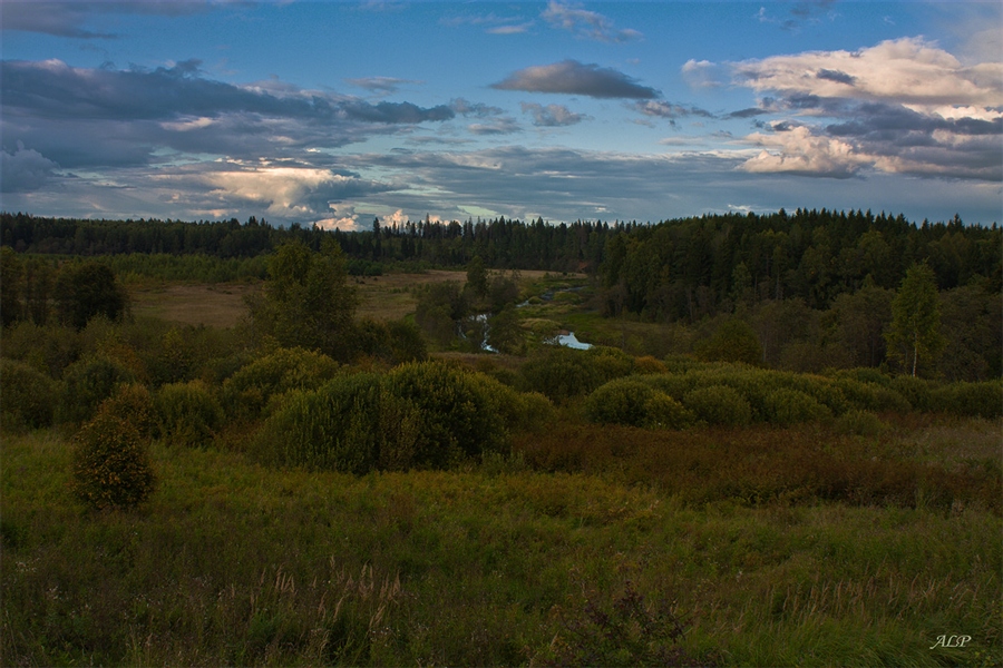 Фото жизнь