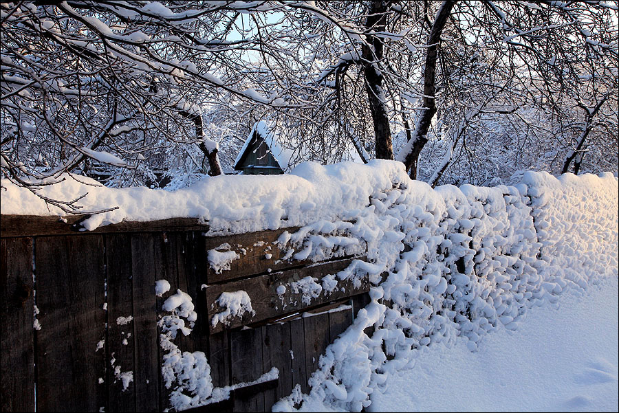 Фото жизнь (light) - Виктор Печенев - корневой каталог - Про зиму, забор и снег.