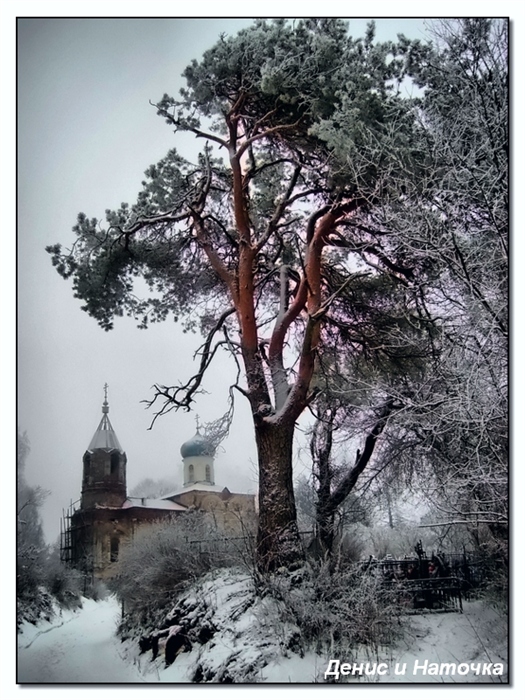 Фото жизнь